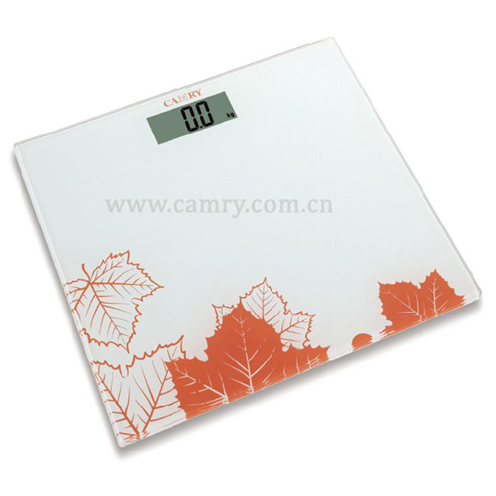 Weight Machine / Electronic Personal Scale